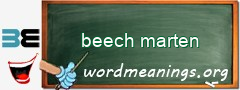 WordMeaning blackboard for beech marten